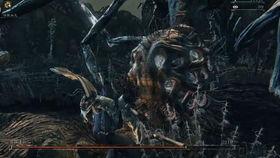 欧美掏肛视频,惊悚背后的真相与反思