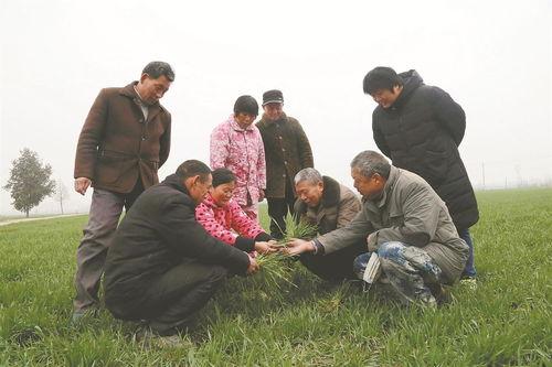 欧美 异族 视频