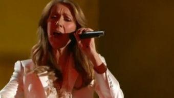 欧美videosgatsdo视频,欧美短视频平台Videogatsdo热门内容盘点