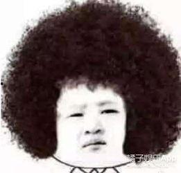 欧美人解读表情包视频,趣味与社交的碰撞